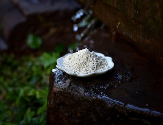 三七生粉詳解，一篇就夠了！