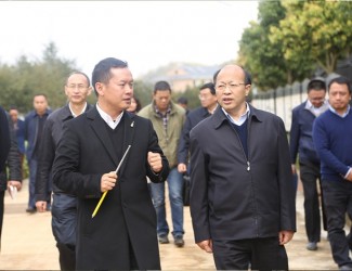 云南省委常委、副書記李秀領(lǐng)一行到苗鄉(xiāng)三七科技示范園考察調(diào)研