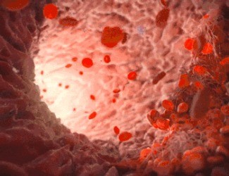 為什么三七被稱為“血管清道夫”？