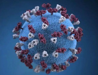 三點(diǎn)告訴您：三七憑什么成為抗“新冠狀病毒肺炎”成員！