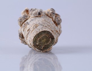 三七粉吃多長時間有效？ 三七品質(zhì)最關(guān)鍵