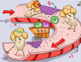 血瘀體質(zhì)的表現(xiàn)與癥狀，如何用三七活血化瘀