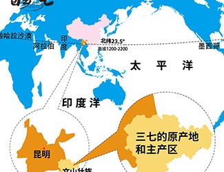 三七產地哪里的最好，廣西田七與云南三七有何區(qū)別