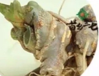 買三七注意事項，帶剪口和不帶剪口的巨大區(qū)別