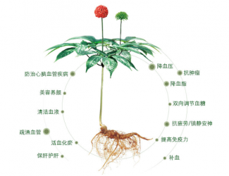 三七救人無國界，美軍飛行員曾受益