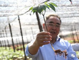 張伯禮院士這樣說(shuō)三七！