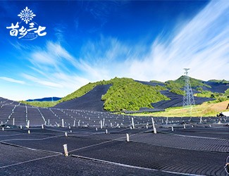 慢性咽炎怎么辦，秋季養(yǎng)生有妙招