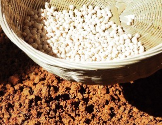 三七的一生——建棚、播種（二）