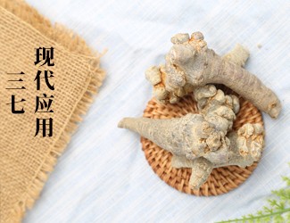 三七的功效作用在現(xiàn)代臨床中的應(yīng)用，揭秘醫(yī)生如何用三七治病