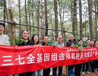 無數(shù)次從零到一，無數(shù)人前赴后繼守護(hù)三七“種業(yè)芯片”