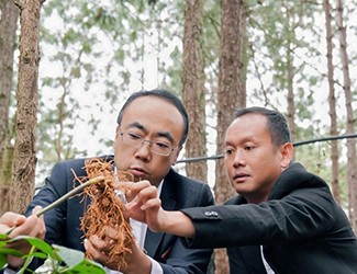 三七良種喜獲豐收，實(shí)現(xiàn)產(chǎn)量含量雙突破！