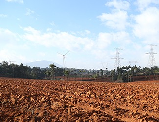 三七土壤危機(jī)何解？官會林教授開出“生態(tài)藥方”