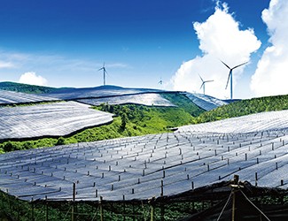 董林林博士如何看待苗鄉(xiāng)全產(chǎn)業(yè)鏈品控管理體系？